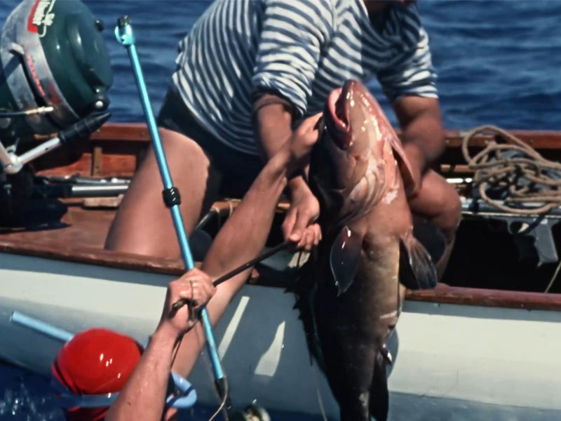 pesca subacquea da sotto il mare di linosa